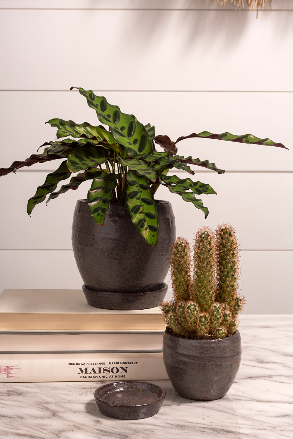 Bradford Pot Set of 8 By Accent Decor | Planters, Troughs & Cachepots | Modishstore - 10