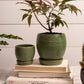 Bradford Pot Set of 8 By Accent Decor | Planters, Troughs & Cachepots | Modishstore - 14