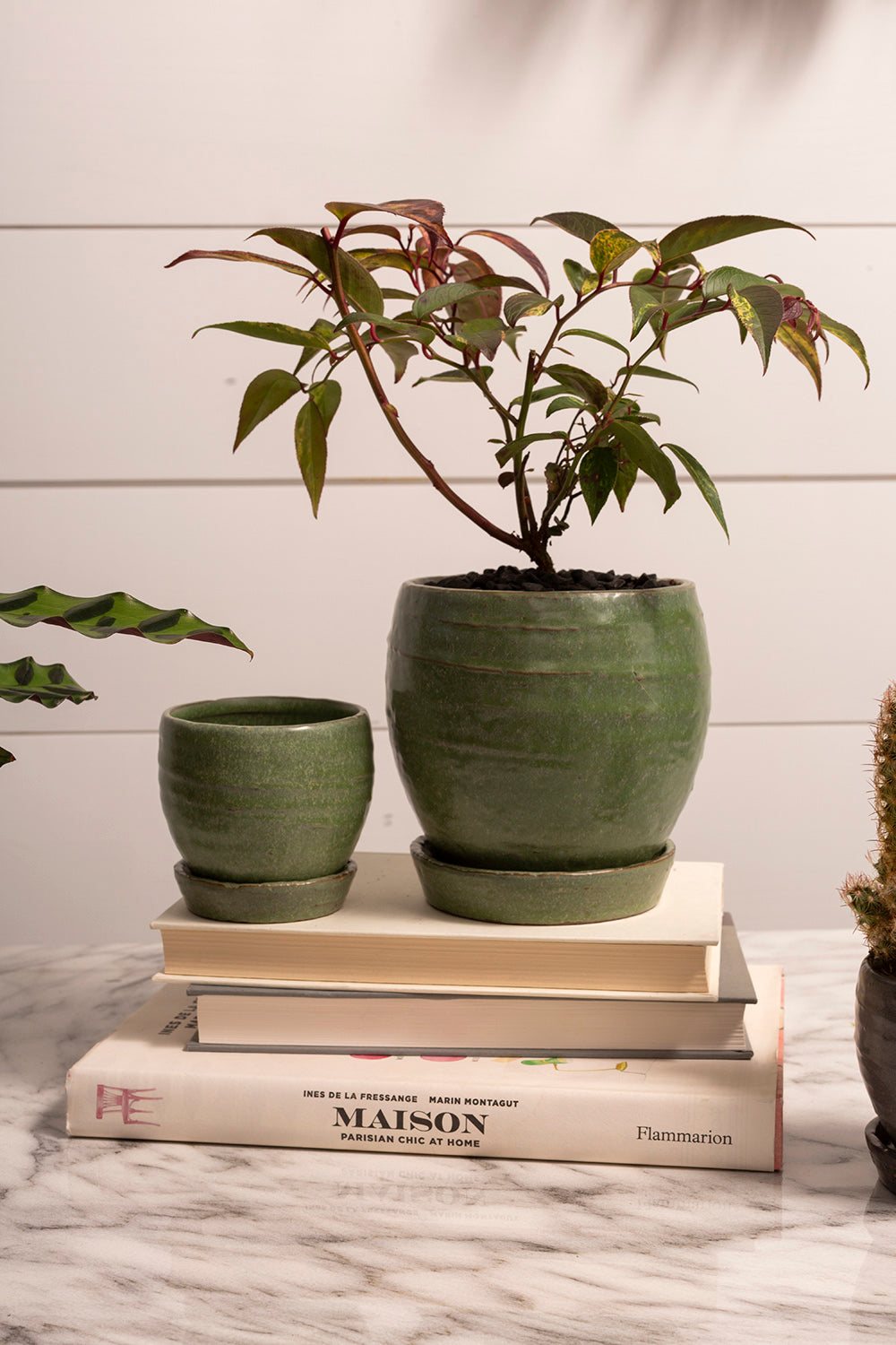 Bradford Pot Set of 8 By Accent Decor | Planters, Troughs & Cachepots | Modishstore - 14