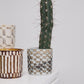 Anselm Pot Set of 2 By Accent DŽcor