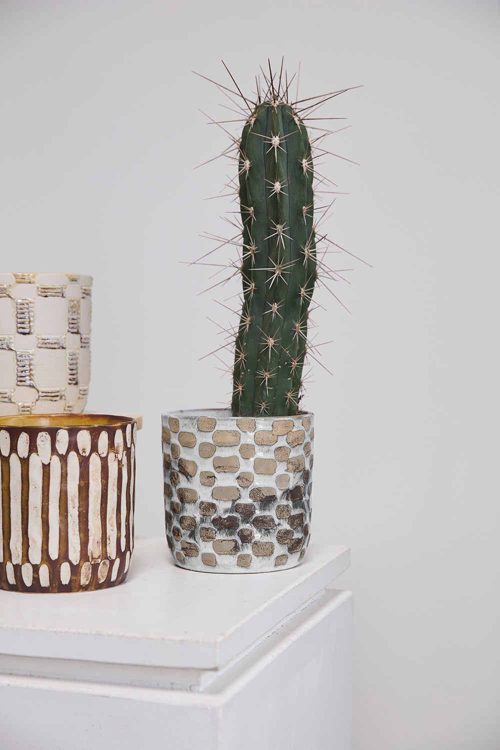 Anselm Pot Set of 2 By Accent DŽcor