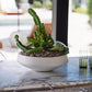 Newport White Low Bowl Set of 2 By Accent DŽcor