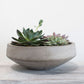 Newport Low Bowl Set of 2 By Accent DŽcor