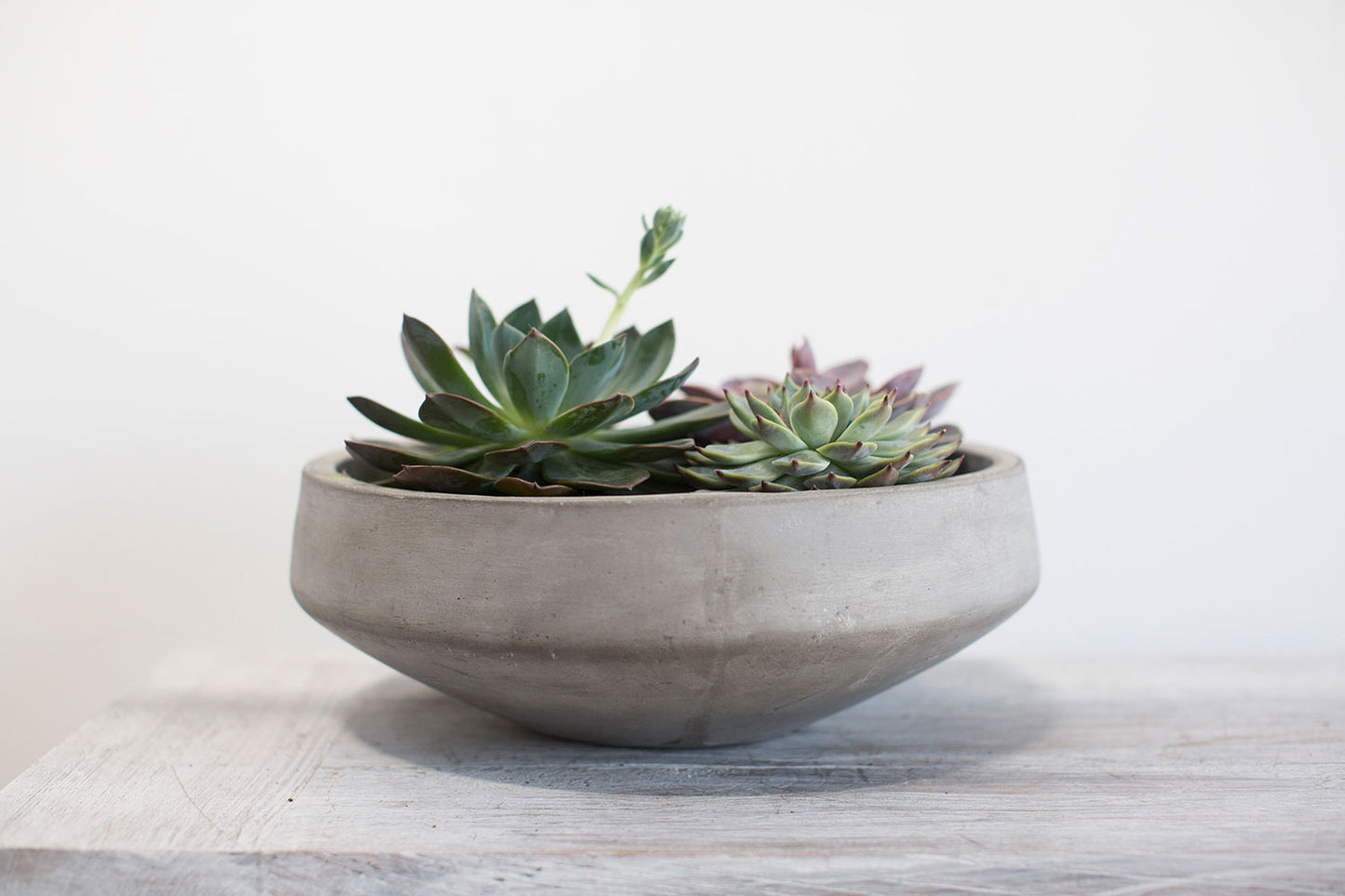 Newport Low Bowl Set of 2 By Accent DŽcor