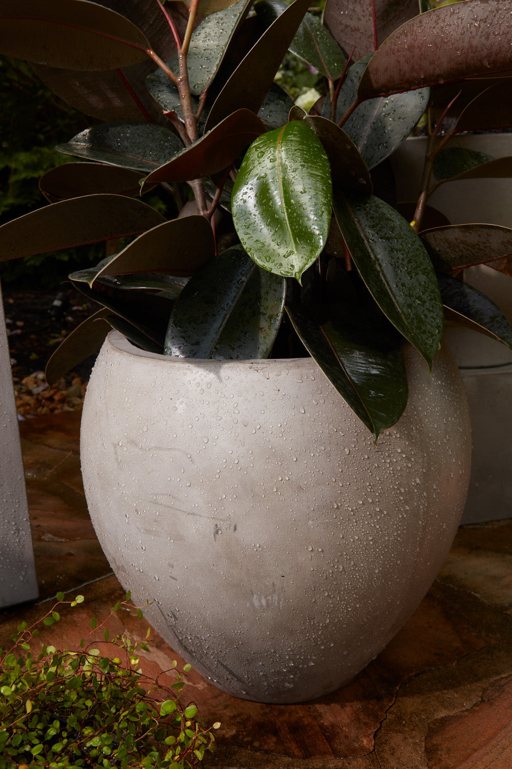 Newport Pot By Accent Decor | Planters, Troughs & Cachepots | Modishstore - 6