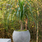 Newport Pot By Accent Decor | Planters, Troughs & Cachepots | Modishstore - 7