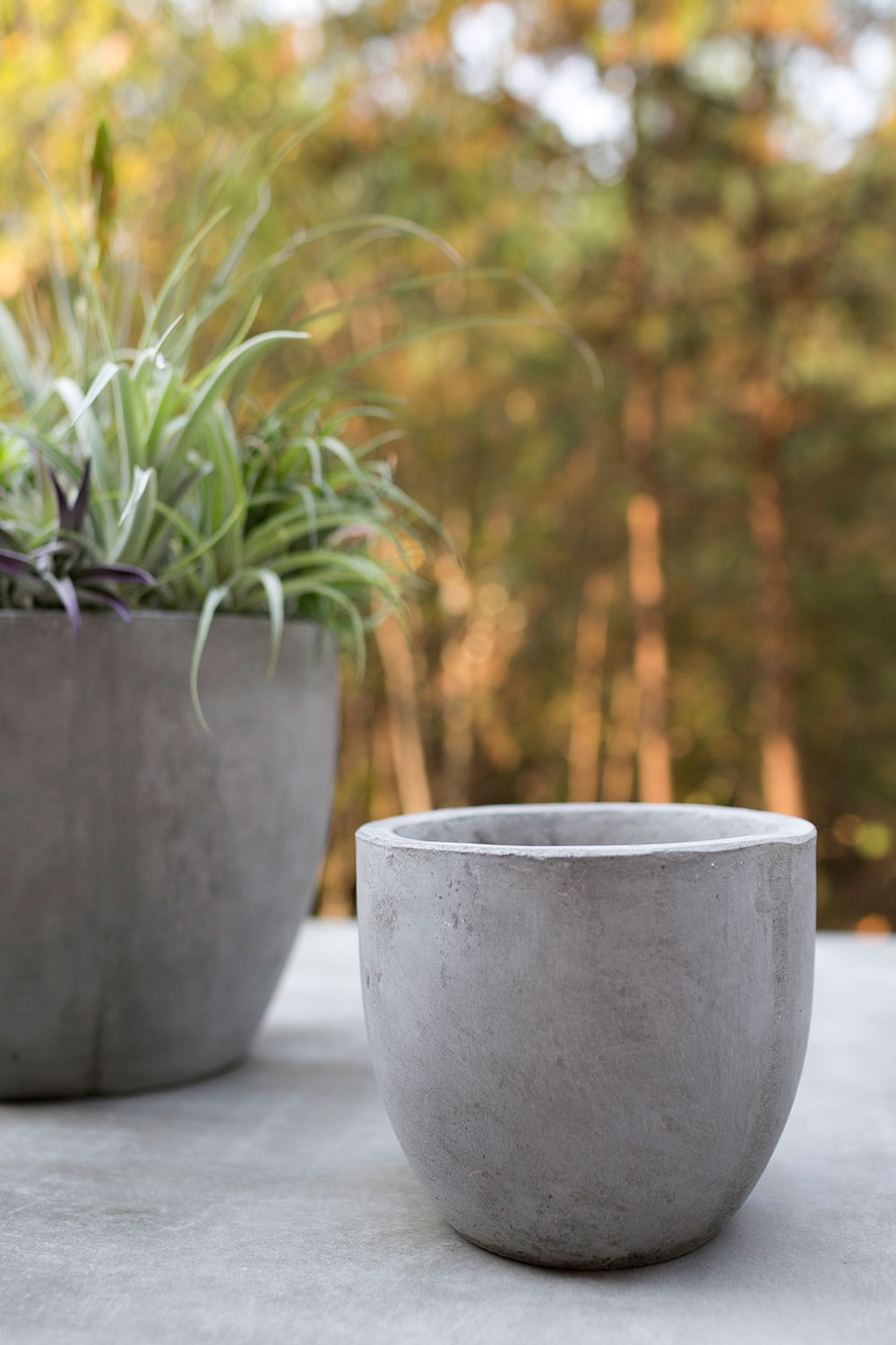 Newport Pot By Accent Decor | Planters, Troughs & Cachepots | Modishstore - 9