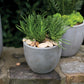 Newport Pot By Accent Decor | Planters, Troughs & Cachepots | Modishstore - 10