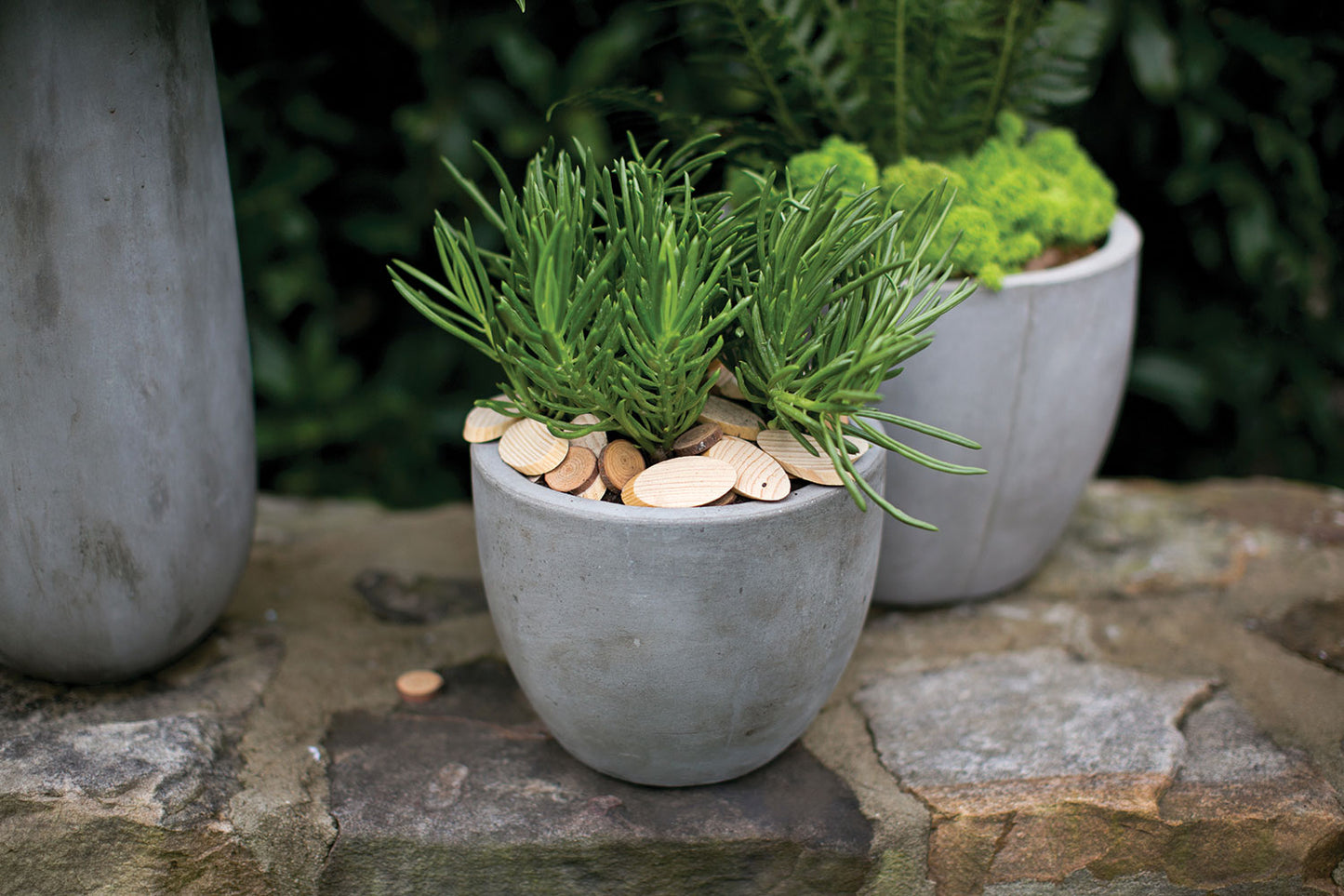 Newport Pot By Accent Decor | Planters, Troughs & Cachepots | Modishstore - 10
