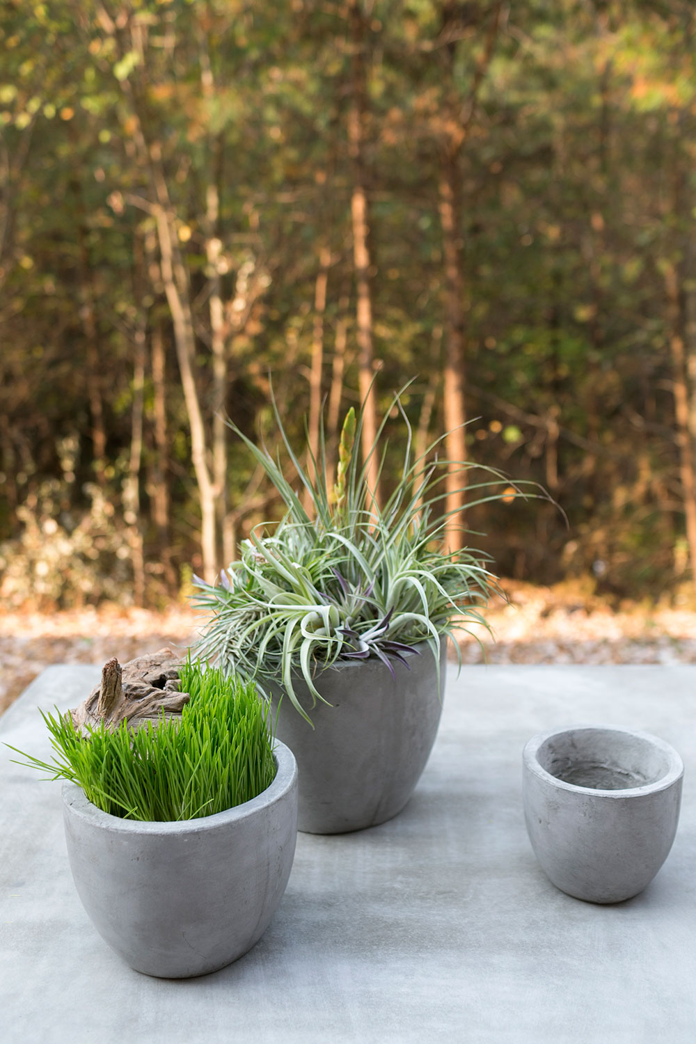Newport Pot By Accent Decor | Planters, Troughs & Cachepots | Modishstore - 13