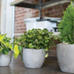Newport Pot By Accent Decor | Planters, Troughs & Cachepots | Modishstore - 15