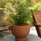Newport Compote Set of 2 By Accent Decor | Planters, Troughs & Cachepots | Modishstore - 19