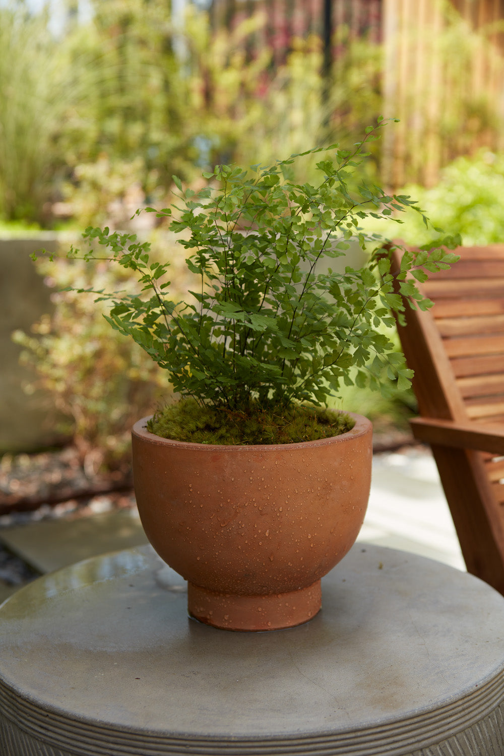 Newport Compote Set of 2 By Accent Decor | Planters, Troughs & Cachepots | Modishstore - 19