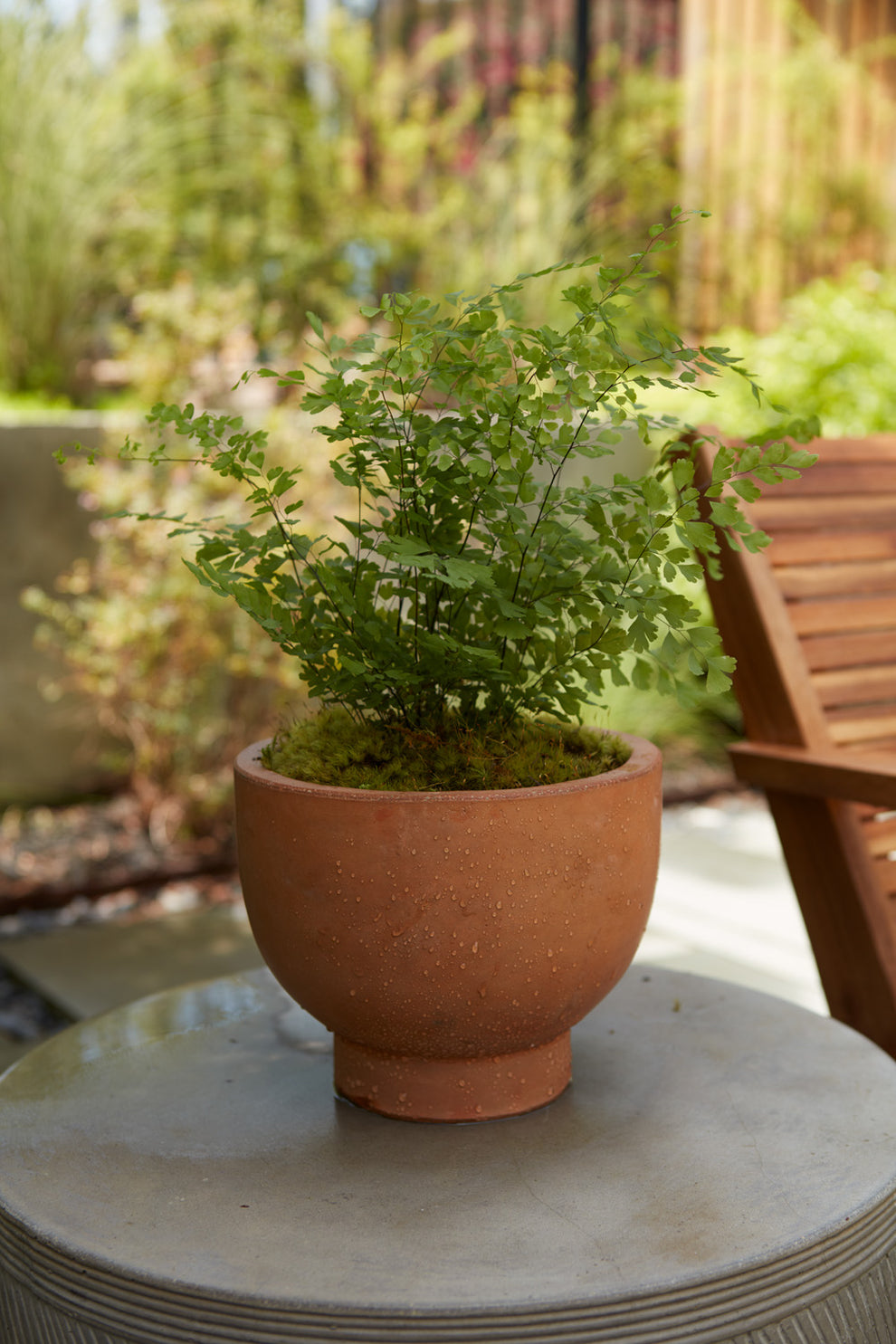 Newport Compote Set of 2 By Accent Decor | Planters, Troughs & Cachepots | Modishstore - 19