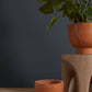 Newport Compote Set of 2 By Accent Decor | Planters, Troughs & Cachepots | Modishstore - 20