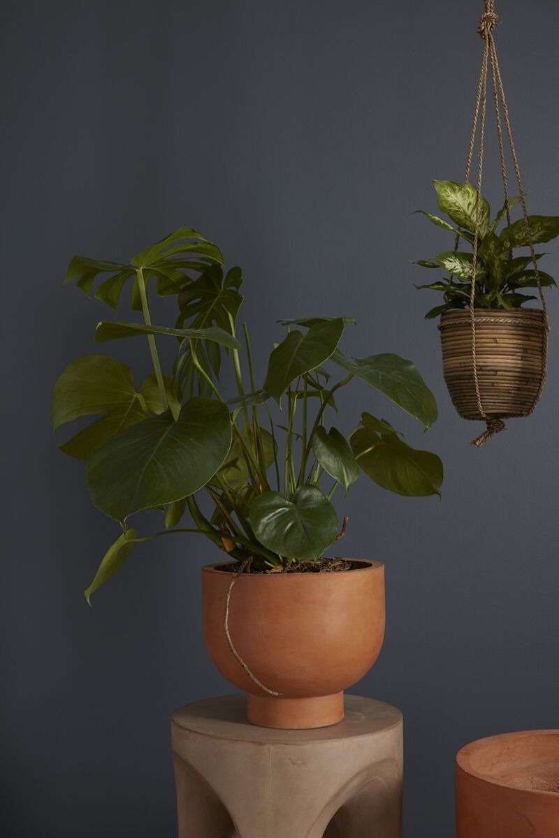 Newport Burnt Orange Compote 12.25"x 10.5" By Accent Decor | Planters, Troughs & Cachepots | Modishstore - 1