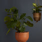 Newport Compote Set of 2 By Accent Decor | Planters, Troughs & Cachepots | Modishstore - 17