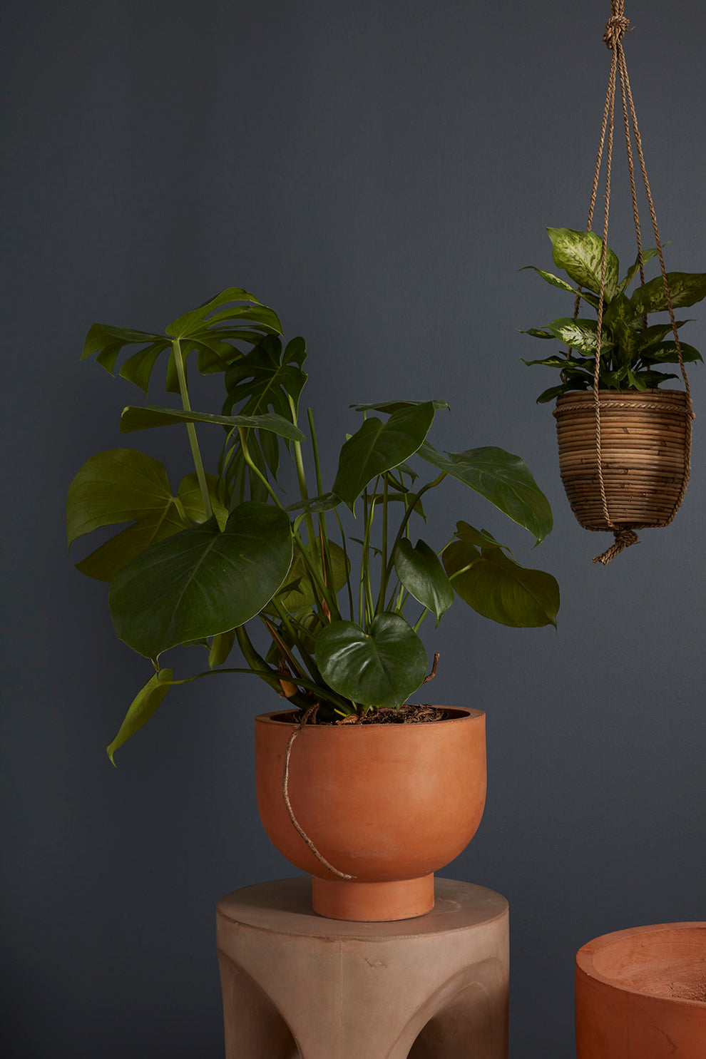 Newport Compote Set of 2 By Accent Decor | Planters, Troughs & Cachepots | Modishstore - 17