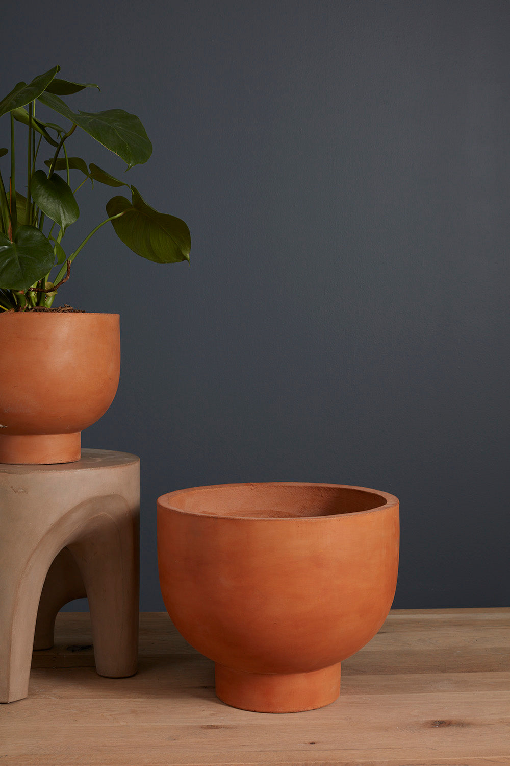 Newport Compote Set of 2 By Accent Decor | Planters, Troughs & Cachepots | Modishstore - 15