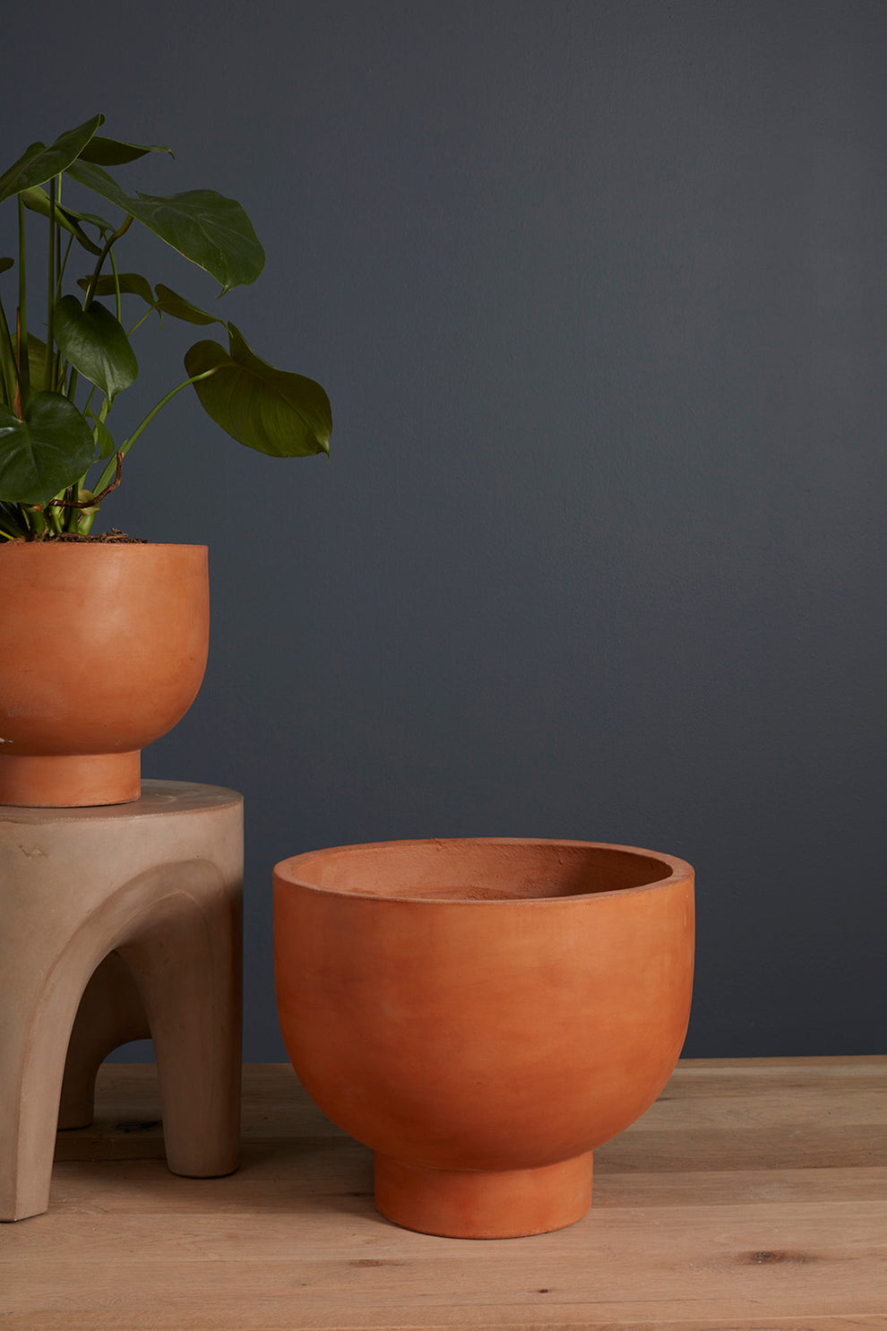 Newport Compote Set of 2 By Accent Decor | Planters, Troughs & Cachepots | Modishstore - 15