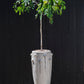 Ava Planter By Accent Decor | Planters, Troughs & Cachepots | Modishstore - 6