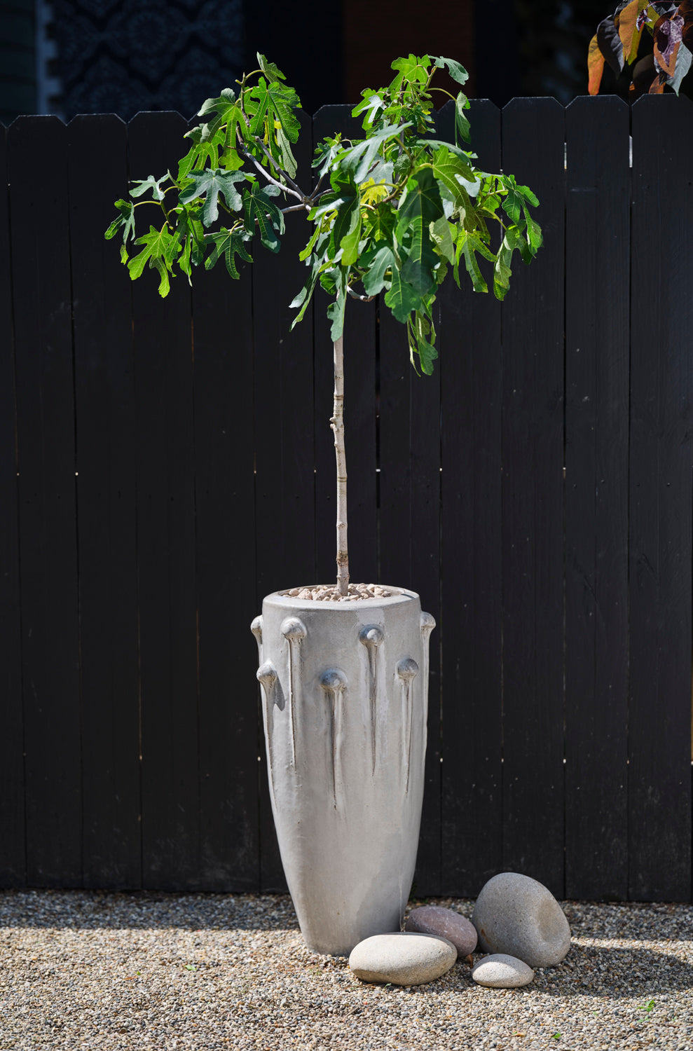 Ava Planter By Accent Decor | Planters, Troughs & Cachepots | Modishstore - 6