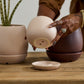 Dalton Pot Set of 4 By Accent Decor | Planters, Troughs & Cachepots | Modishstore - 9