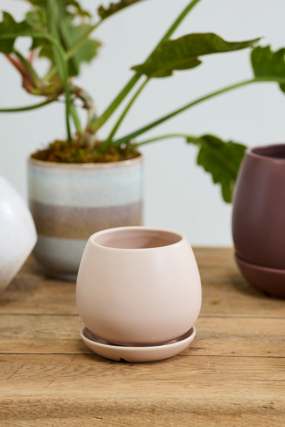 Dalton Pot Set of 4 By Accent Decor | Planters, Troughs & Cachepots | Modishstore - 8