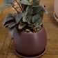 Dalton Pot Set of 4 By Accent Decor | Planters, Troughs & Cachepots | Modishstore - 17