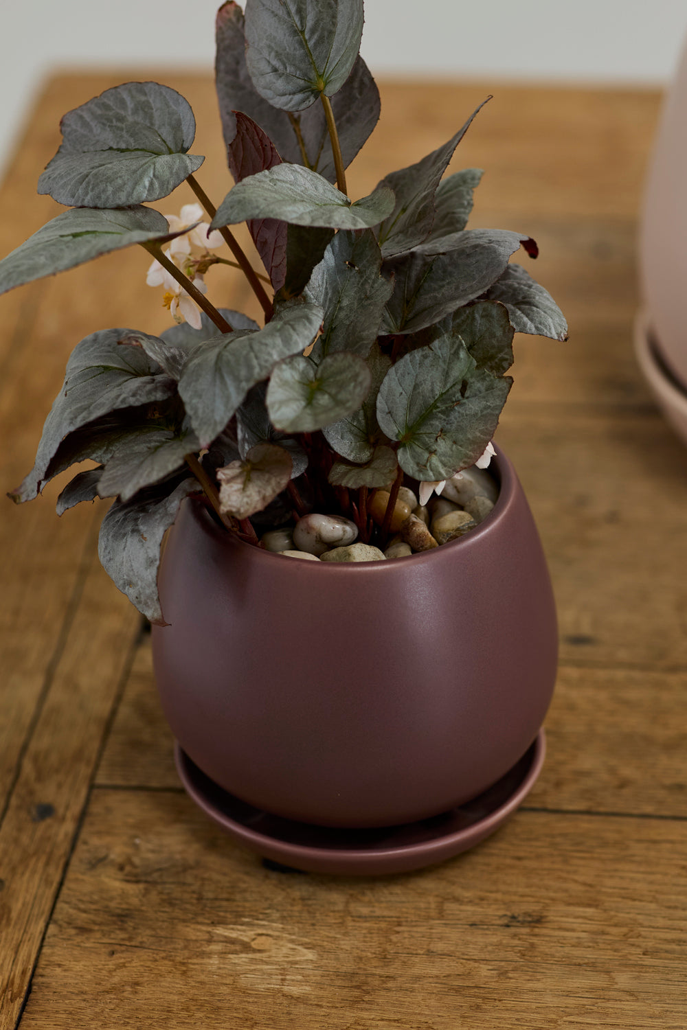 Dalton Pot Set of 4 By Accent Decor | Planters, Troughs & Cachepots | Modishstore - 17