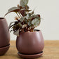 Dalton Pot Set of 4 By Accent Decor | Planters, Troughs & Cachepots | Modishstore - 16