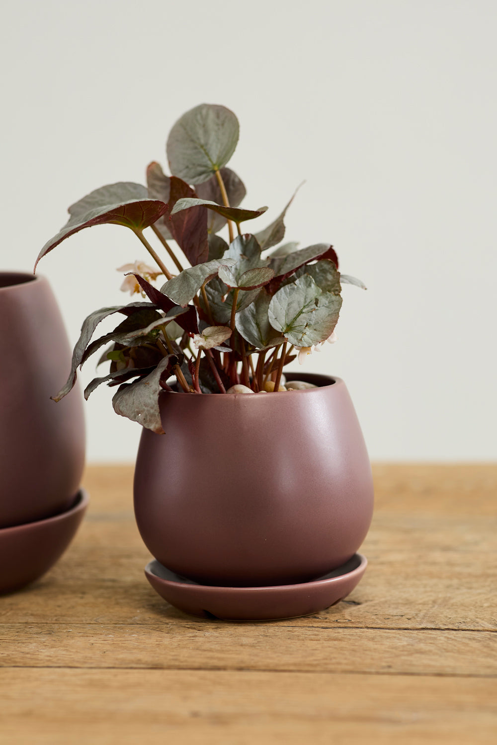Dalton Pot Set of 4 By Accent Decor | Planters, Troughs & Cachepots | Modishstore - 16