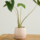 Dalton Pot Set of 4 By Accent Decor | Planters, Troughs & Cachepots | Modishstore - 14