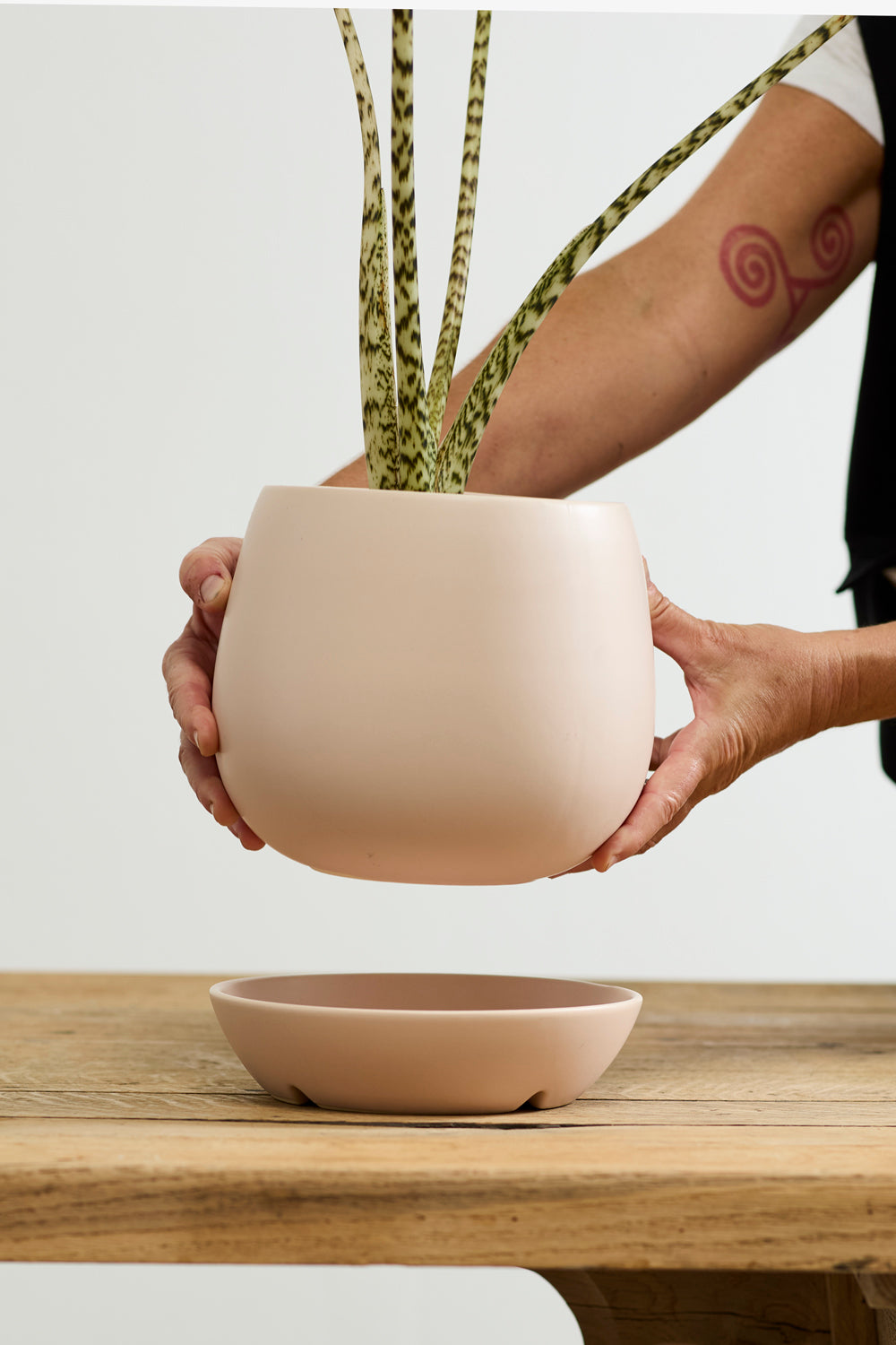 Dalton Pot Set of 4 By Accent Decor | Planters, Troughs & Cachepots | Modishstore - 12