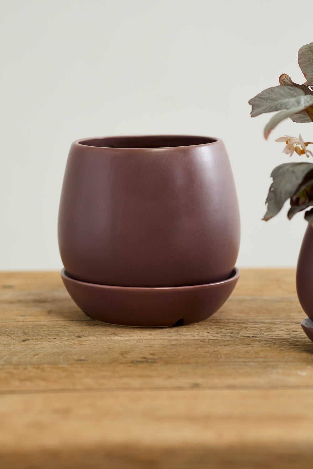 Dalton Pot Set of 4 By Accent Decor | Planters, Troughs & Cachepots | Modishstore - 19