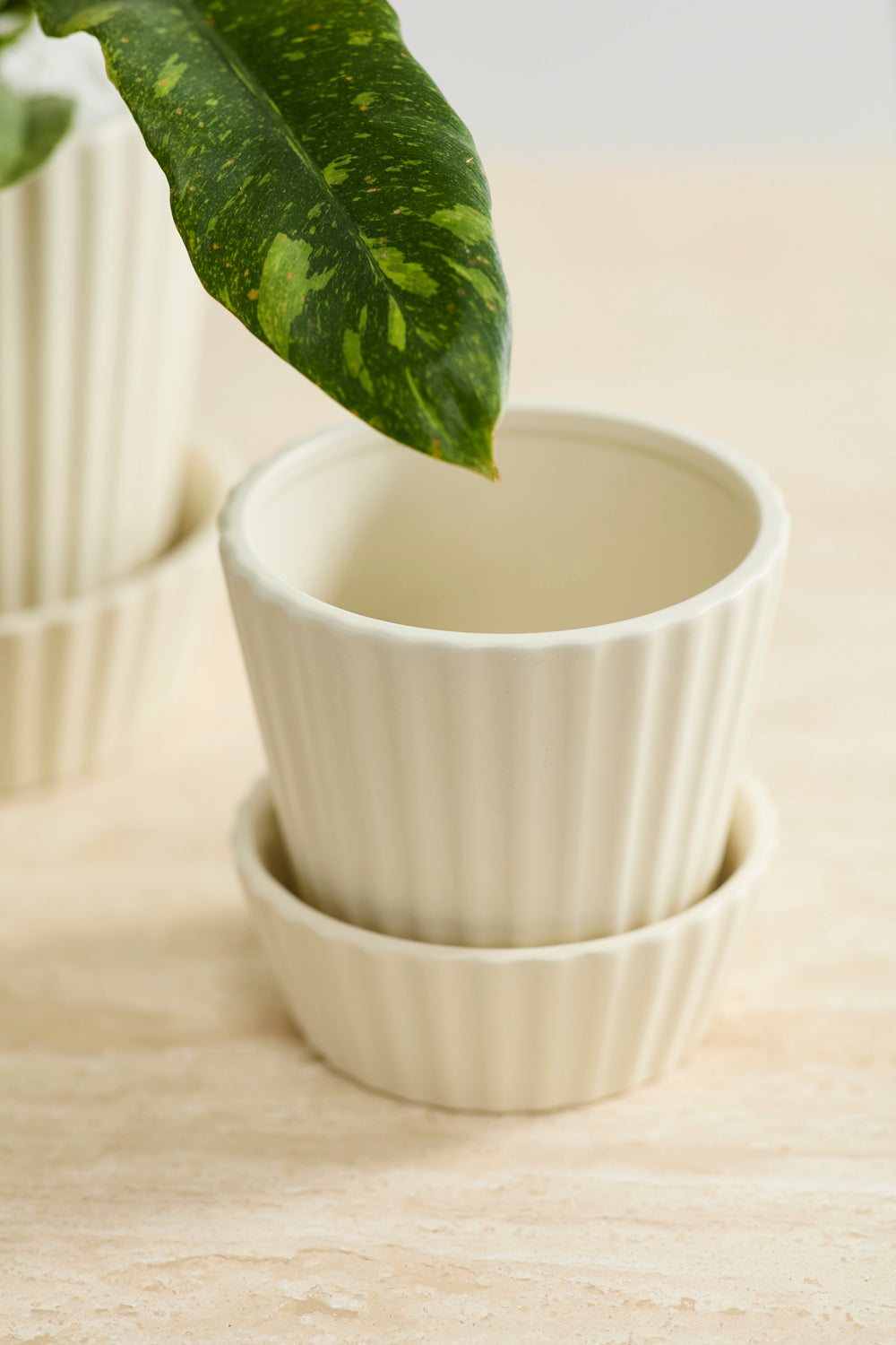 Quincy Pot Set of 4 By Accent Decor | Planters, Troughs & Cachepots | Modishstore - 6