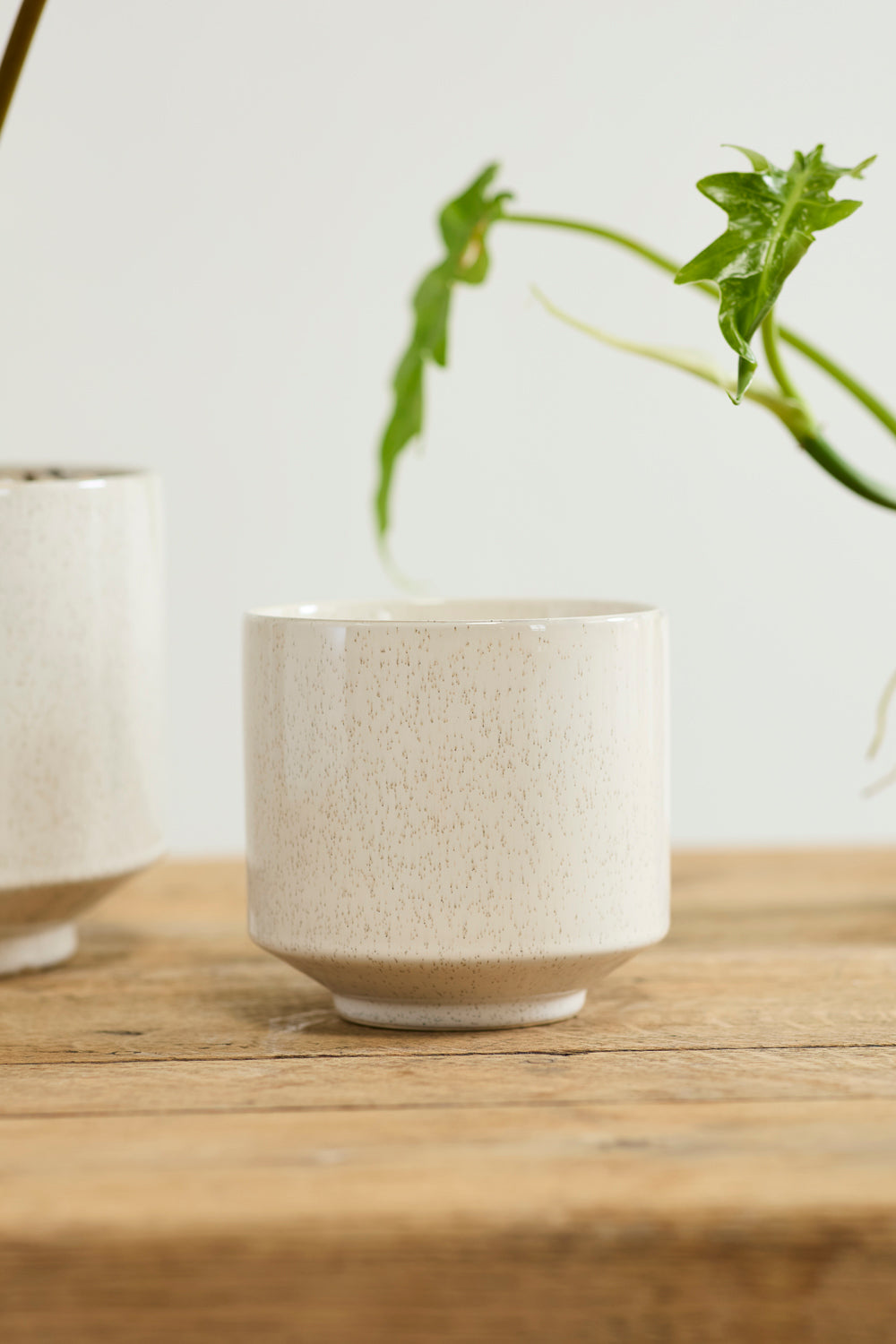 Bello Pot Set of 8 By Accent Decor | Planters, Troughs & Cachepots | Modishstore - 5