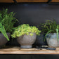 Newport Compote Set of 2 By Accent Decor | Planters, Troughs & Cachepots | Modishstore - 7