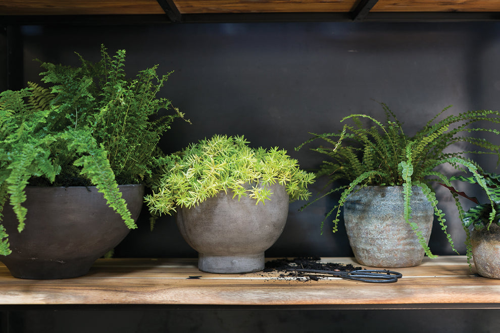 Newport Compote Set of 2 By Accent Decor | Planters, Troughs & Cachepots | Modishstore - 7