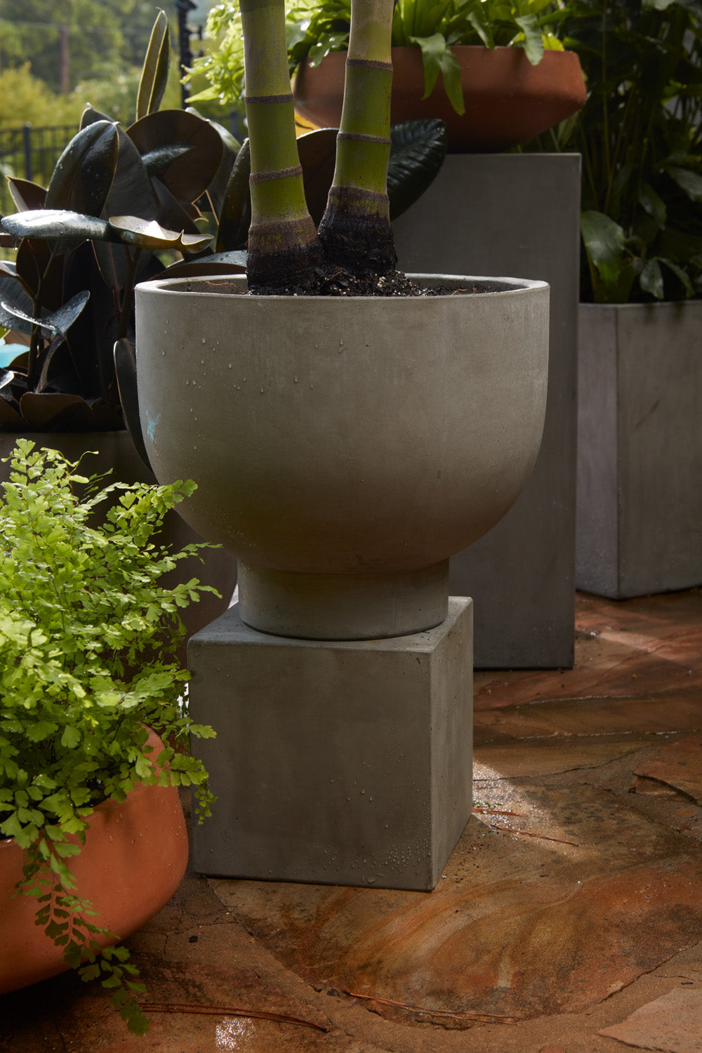 Newport Compote Set of 2 By Accent Decor | Planters, Troughs & Cachepots | Modishstore - 11