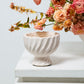 Sway Compote Set of 4 By Accent Decor | Planters, Troughs & Cachepots | Modishstore - 6