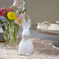 Doe Statue Set of 8 By Accent Decor | Figurines | Modishstore - 7