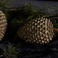 Coulter Cone Set of 4 By Accent Decor | Decor | Modishstore - 4