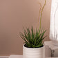 Andrade Collection Set of 4 By Accent Decor | Planters, Troughs & Cachepots | Modishstore - 7