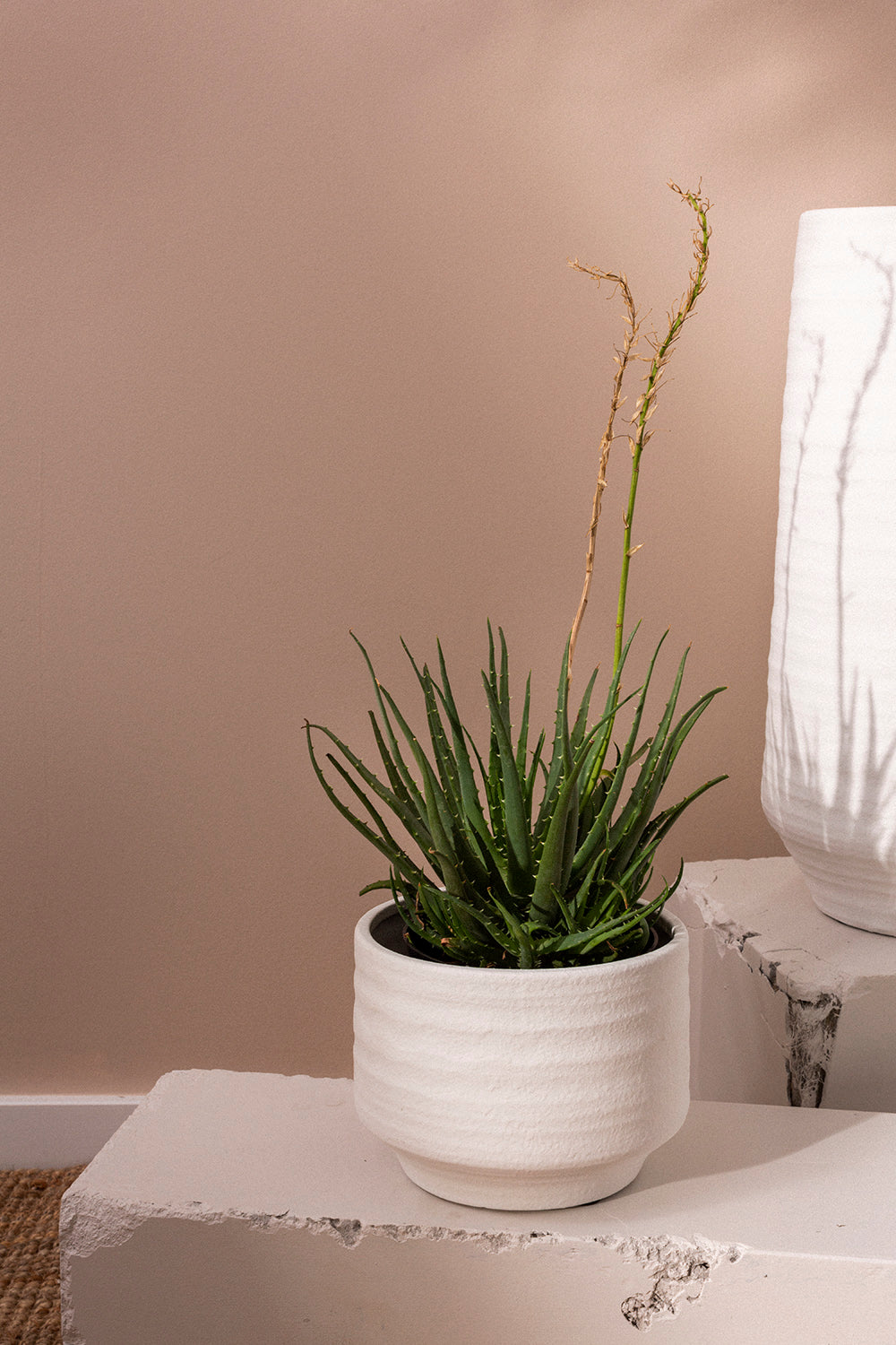 Andrade Collection Set of 4 By Accent Decor | Planters, Troughs & Cachepots | Modishstore - 7