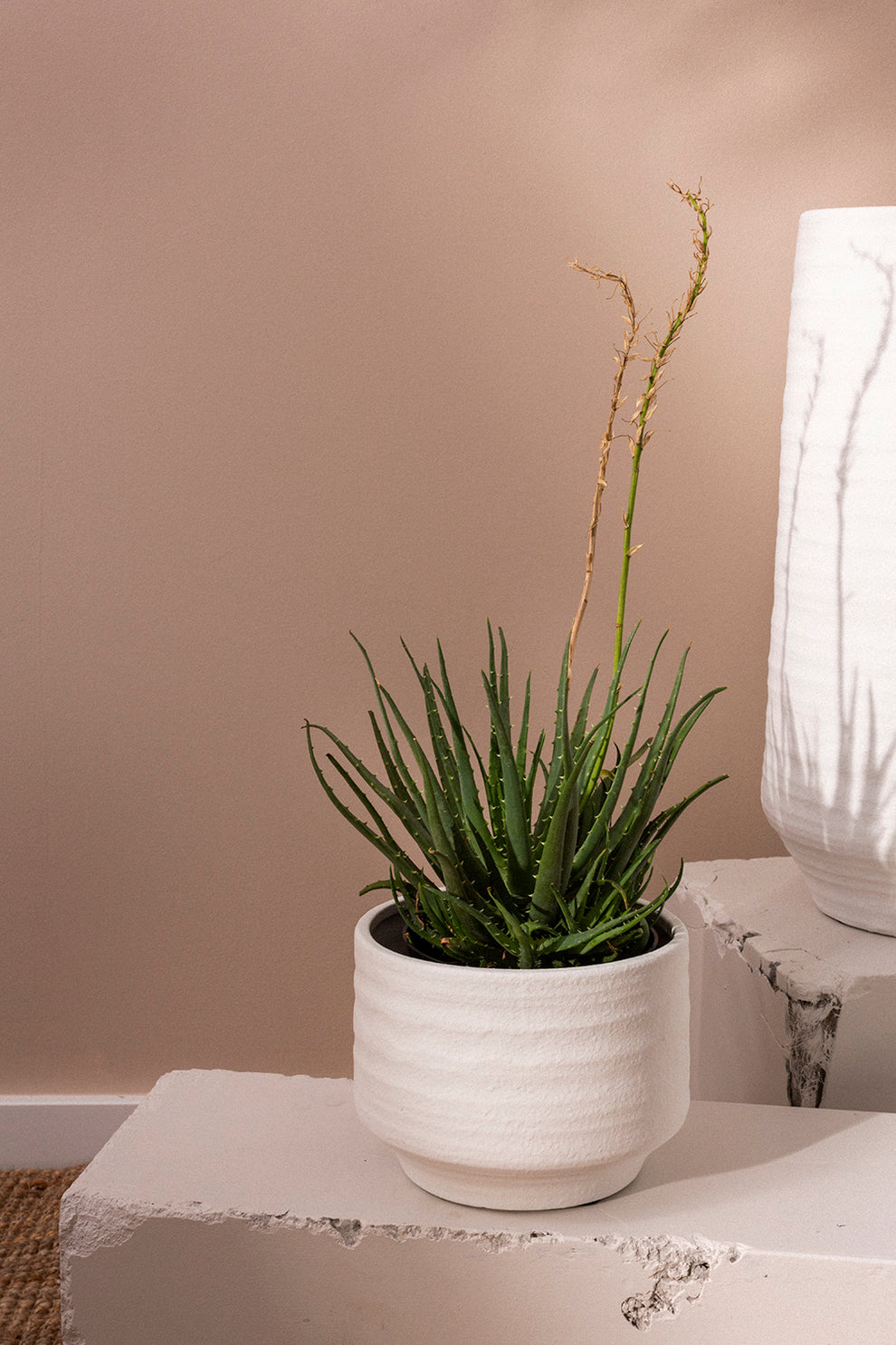 Andrade Collection Set of 4 By Accent Decor | Planters, Troughs & Cachepots | Modishstore - 7