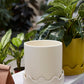 Pissaro Pot with Saucer Set of 4 By Accent Decor | Planters, Troughs & Cachepots | Modishstore - 8