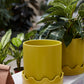 Pissaro Pot with Saucer Set of 4 By Accent Decor | Planters, Troughs & Cachepots | Modishstore - 12
