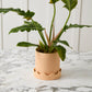 Pissaro Pot with Saucer Set of 4 By Accent Decor | Planters, Troughs & Cachepots | Modishstore - 16