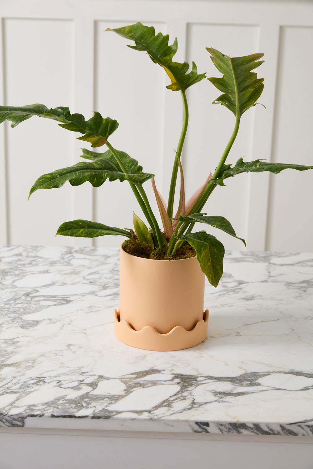 Pissaro Pot with Saucer Set of 4 By Accent Decor | Planters, Troughs & Cachepots | Modishstore - 16